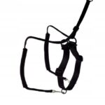 ed44bfec40009df3836924053930